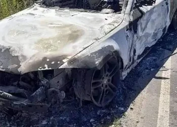 Encontraron un cuerpo calcinado en Guernica: investigan si se trata de uno de los desaparecidos en Varela