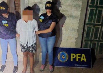 Hallaron una importante plantación de marihuana en un campo familiar de Corrientes