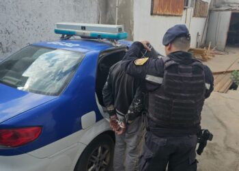 Se resistió a un control policial y agredió a los efectivos