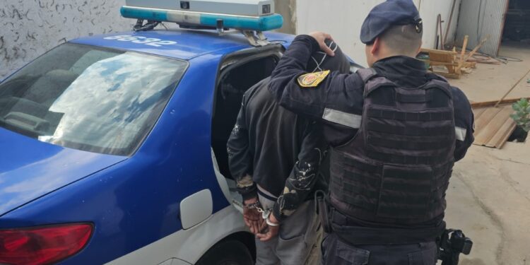 Se resistió a un control policial y agredió a los efectivos