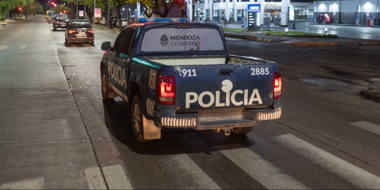 Ocho detenidos en diferentes operativos policiales