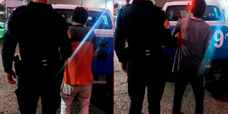 Detuvieron a padre e hijo por arrojar piedras a un móvil policial