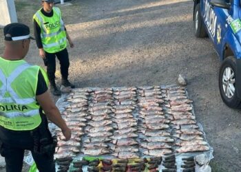 Avellaneda: secuestran 80 kilos de sábalo en un control policial sobre la Ruta 11