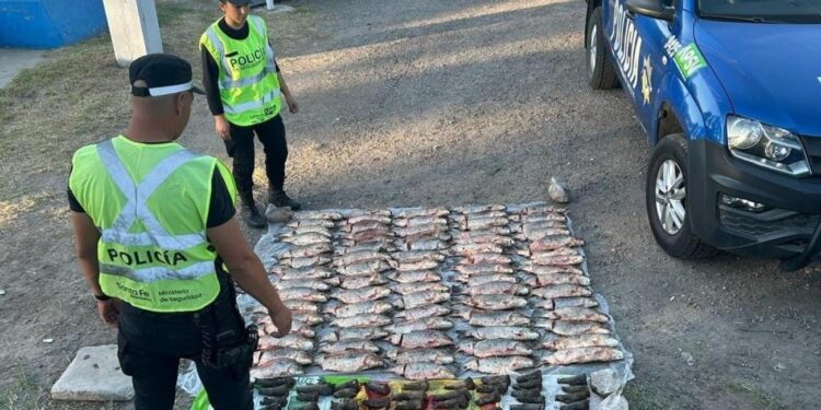 Avellaneda: secuestran 80 kilos de sábalo en un control policial sobre la Ruta 11