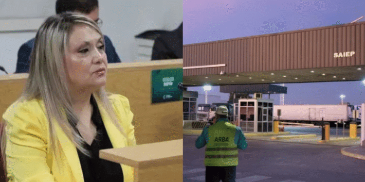 Escándalo en Neuquén: detuvieron al hijo de una candidata a senadora por un robo