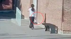 Cómo sigue la menor que se atrincheró con un arma en una escuela de Mendoza