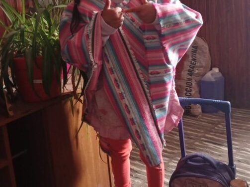 La familia de la niña fallecida por el ataque de un perro en Chubut cuestiona la investigación y afirma que el animal señalado es inocente