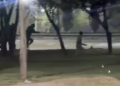 Un menor de 13 años fue atropellado en el Acceso Este de Mendoza cuando intentaba escapar tras un presunto robo