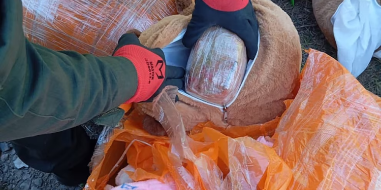 Detuvieron en Catamarca a una mujer que trasladaba más de 50 kilos de droga ocultos en peluches de carpinchos