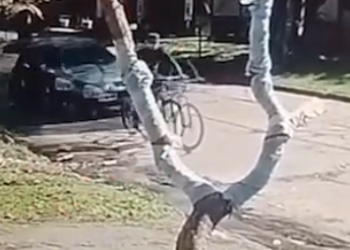 Un hombre atropelló a un amigo en bicicleta tras una discusión en Temperley y permanece prófugo