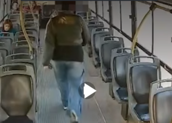 Ataque en un colectivo y violación de domicilio en Tucumán: le dictaron prisión preventiva a una mujer por agredir y amenazar a una joven